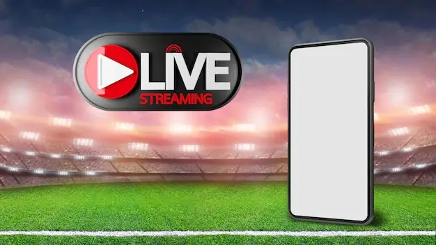 How Web Application Development is Transforming Sports 3 Streaming app