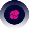 continuous optimization converted compressed 2