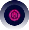 continuous optimization converted compressed