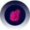 development converted compressed 1