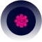 development converted compressed 2