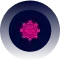 development converted compressed 4