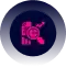 discovery data assessment converted compressed 1
