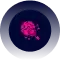 discovery platform scope converted compressed