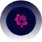 discovery requirement analysis converted compressed