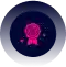 quality assurance optimization converted compressed 2